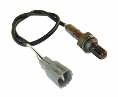 OXYGEN  SENSOR