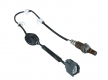 OXYGEN  SENSOR