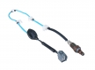 OXYGEN  SENSOR