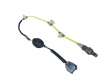 OXYGEN  SENSOR